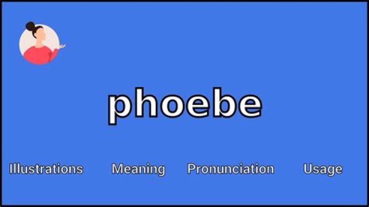 How to spell phoebe